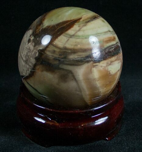 Colorful Petrified Wood Sphere #6792